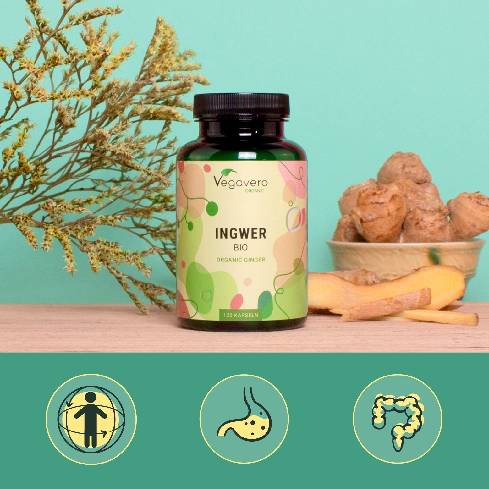Ingwer Kapseln Bio
