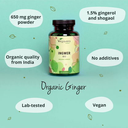Gingembre Gélules Bio