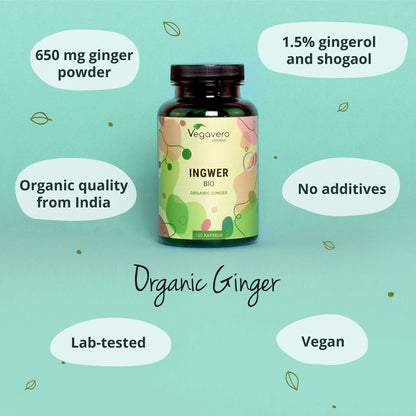 Ingwer Kapseln Bio