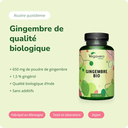 Gingembre Gélules Bio