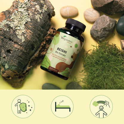 Reishi Extract Capsules Organic