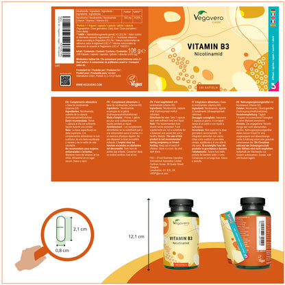 Vitamin B3 (Nicotinamide) Capsules