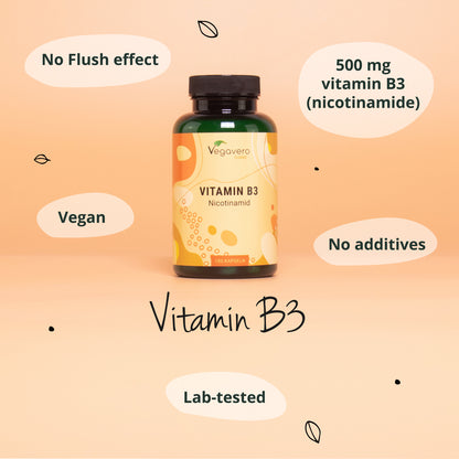 Vitamin B3 (Nicotinamide) Capsules