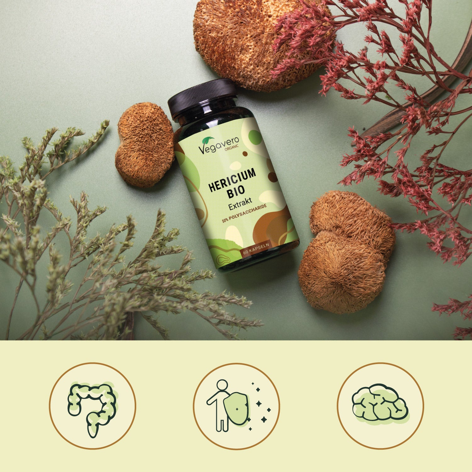 Criniera di Leone Capsule Bio