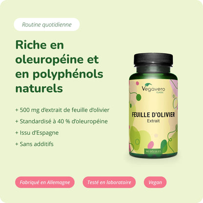 Feuille d’Olive Extrait Gélules