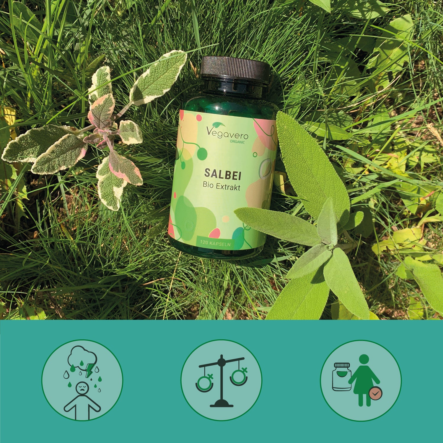 Sage Extract Capsules Organic