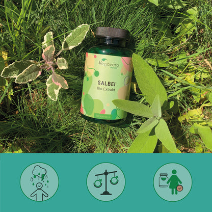 Sage Extract Capsules Organic
