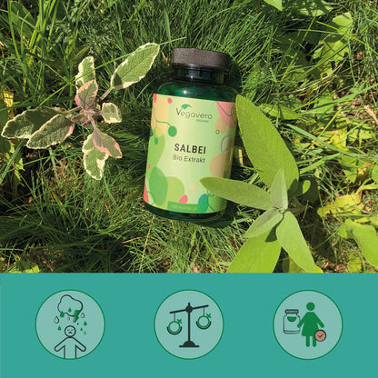 Sage Extract Capsules Organic