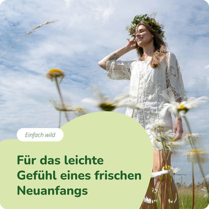 Brennnessel Extrakte Kapseln Bio