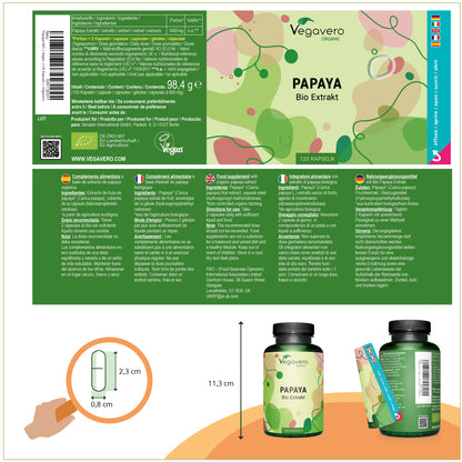 Papaya Extrakt Kapseln Bio