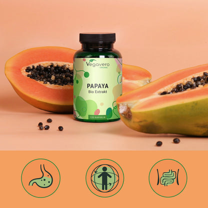 Papaya Extrakt Kapseln Bio
