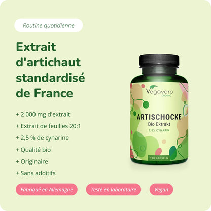 Artichaut Extrait Gélules Bio