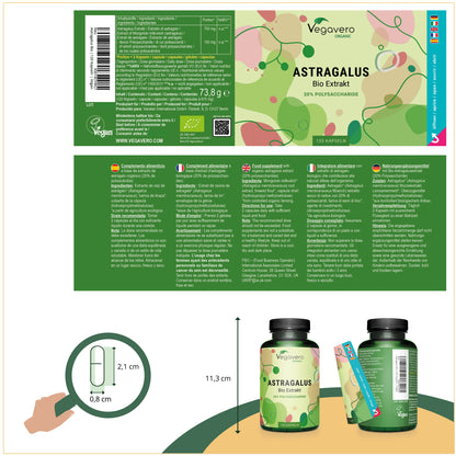 Astragalus Extrait Gélules Bio