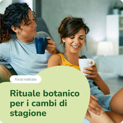 Astragalus Estratto Capsule Bio