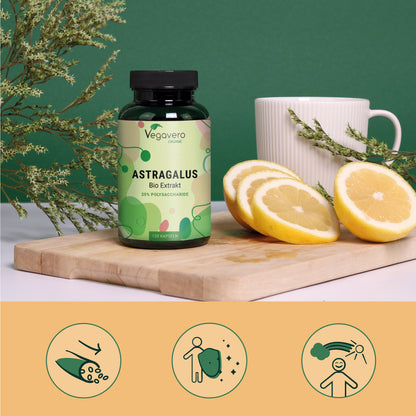 Astragalus Extrait Gélules Bio