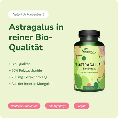 Astragalus Extrakt Kapseln Bio