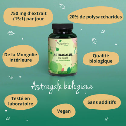 Astragalus Extrait Gélules Bio