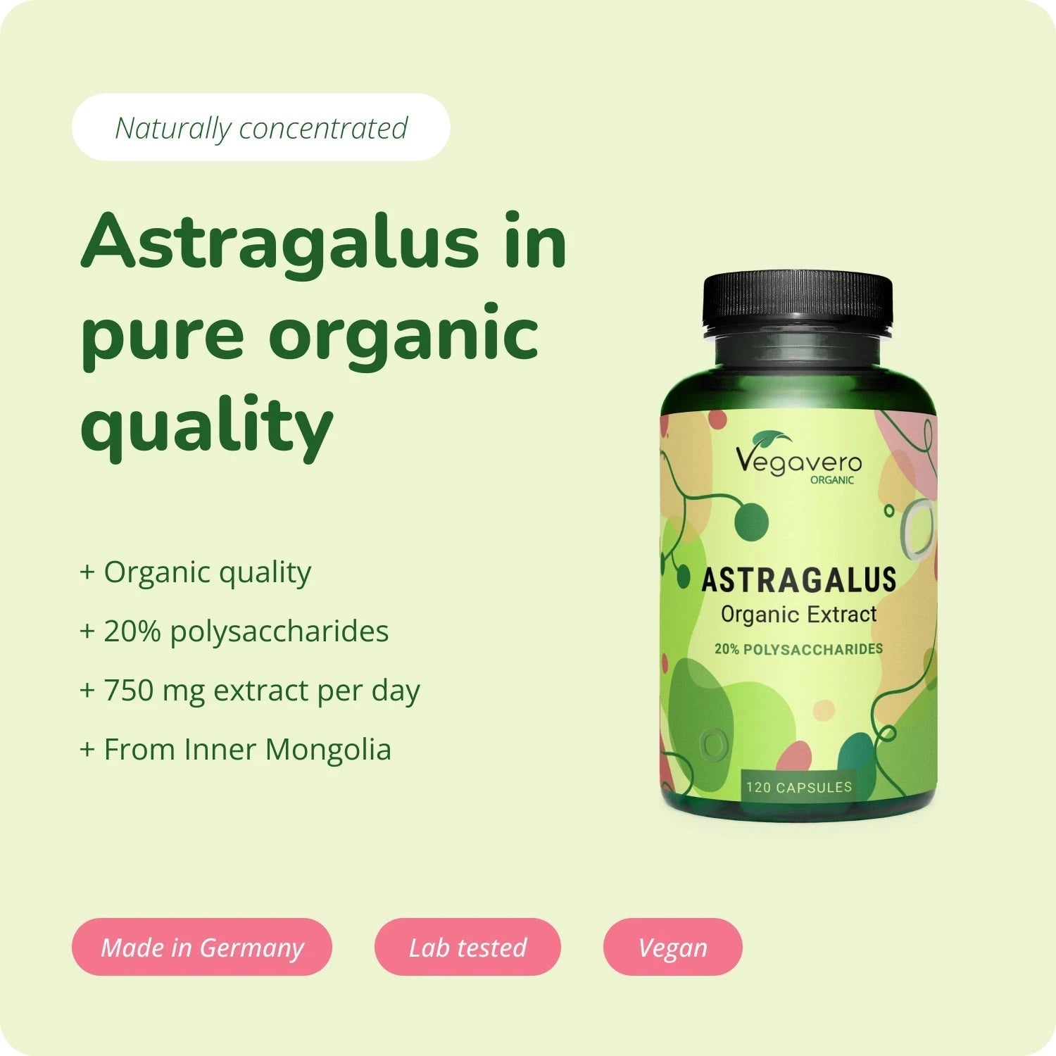 Astragalus Extract Capsules Organic