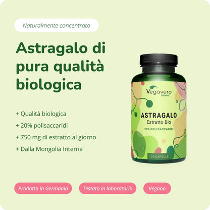 Astragalus Estratto Capsule Bio