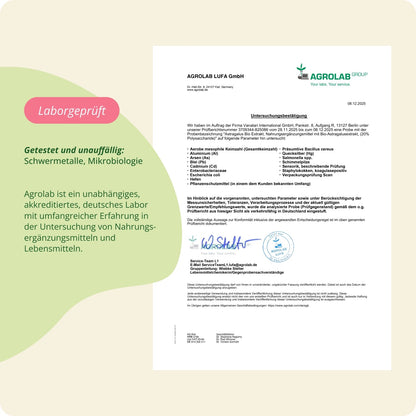 Astragalus Extrakt Kapseln Bio