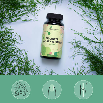 Horsetail Extract Capsules Organic