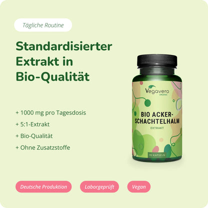Schachtelhalm Extrakt Kapseln Bio
