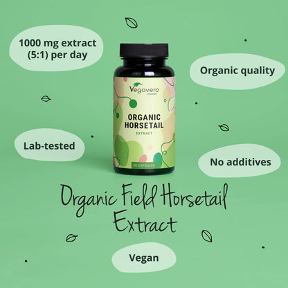 Horsetail Extract Capsules Organic