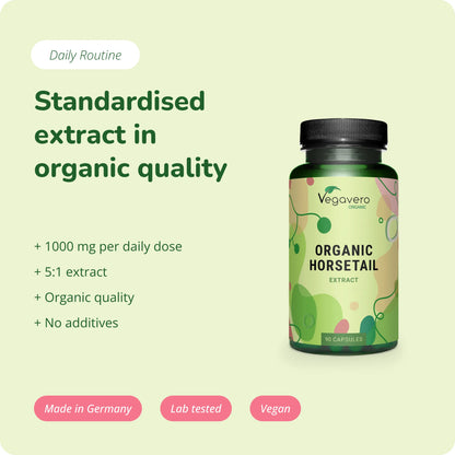 Equiseto Estratto Capsule Bio
