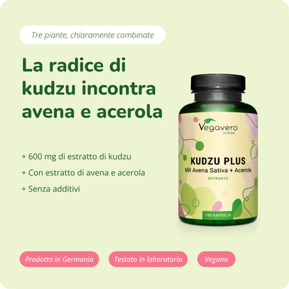 Kudzu Plus Capsule