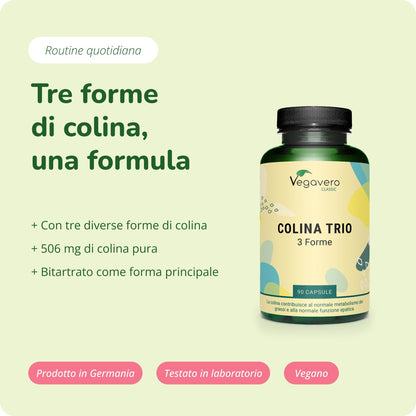 Colina Trio Capsule