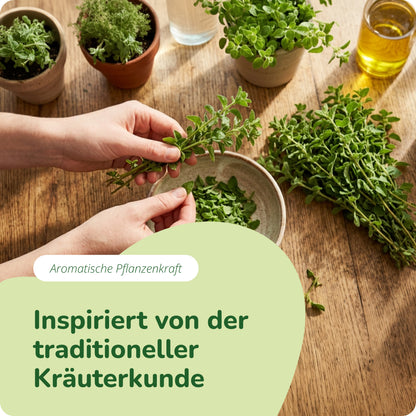 Oregano Öl Kapseln Bio