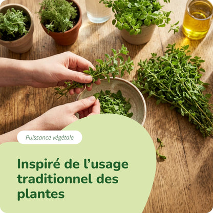 Huile d’Origan Gélules Bio