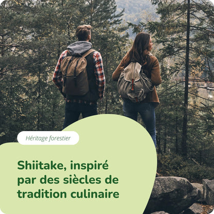 Shiitake Extrait Gélules