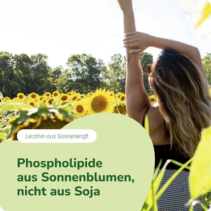 Lecithin Öl Kapseln Bio