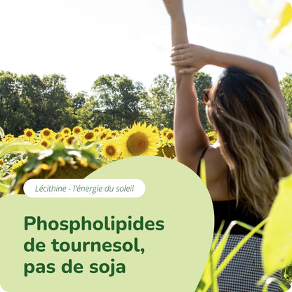 Lécithine Huile Gélules Bio