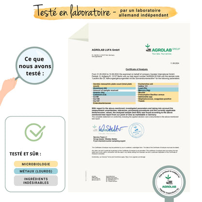 Lécithine Huile Gélules Bio