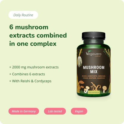 Mushroom Mix Complex Capsule
