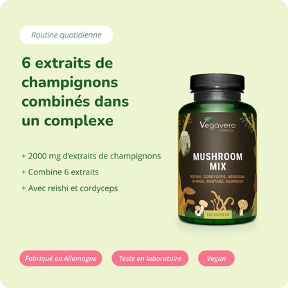 Mushroom Mix Complex Gélules