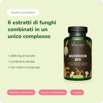 Mushroom Mix Complex Capsule