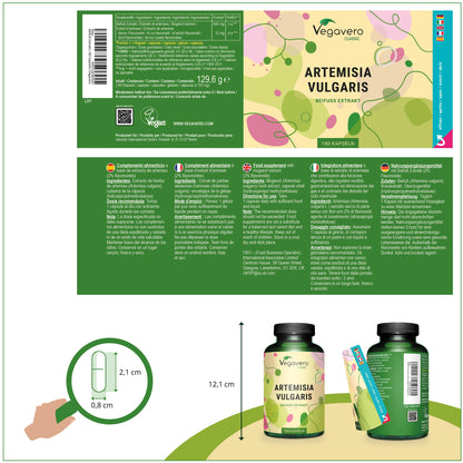 Mugwort Extract Capsules