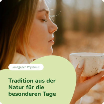 Beifuß Extrakt Kapseln