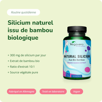 Silicium Naturel Gélules Bio