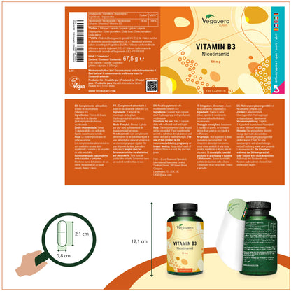 Vitamin B3 Capsules
