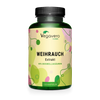 Boswellia Extract Capsules