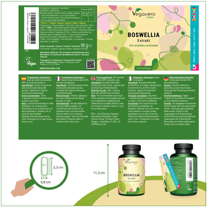 Boswellia Extract Capsules