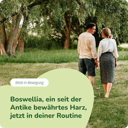 Boswellia Extrakt Kapseln