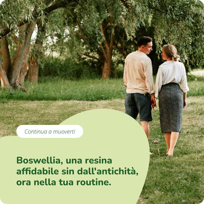 Boswellia Estratto Capsule