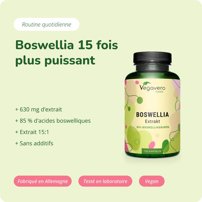 Boswellia Extrait Gélules