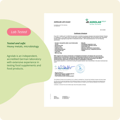 Boswellia Extract Capsules