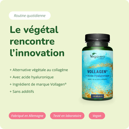 Vollagen + Acide Hyaluronique Complex Gélules